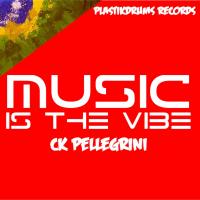 Artwork for Music Is The Vibe by Ck Pellegrini