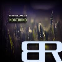 Artwork for Nocturno by Osman Villamizar