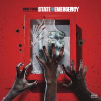 Artwork for State of Emergency by Money Man