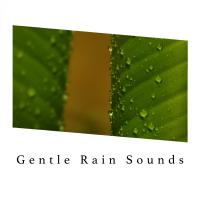 Artwork for Gentle Rain Sounds by Rain Sounds