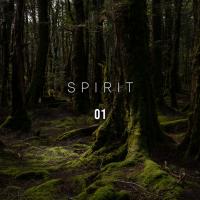 Artwork for Spirit 01 by Rain For Deep Sleep