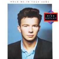 Artwork for Hold Me in Your Arms by Rick Astley