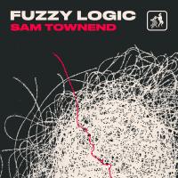 Artwork for Fuzzy Logic by Sam Townend