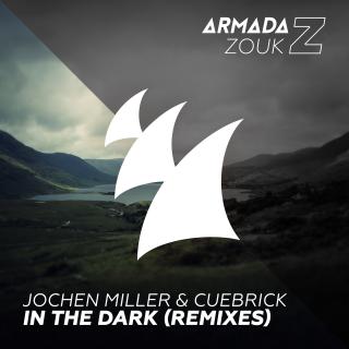 Artwork for In The Dark (Wild Culture Remix)