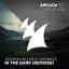 Artwork for In The Dark (DBN Remix)
