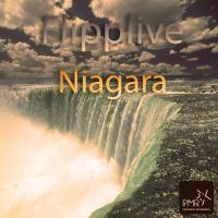 Artwork for Niagara by Flipplive