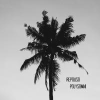 Artwork for Repouso by Polysomni