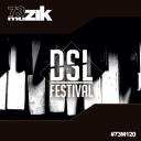 Artwork for Intro DSL Festival (Original Mix)