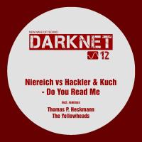 Artwork for Do You Read Me by Niereich