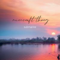 Artwork for Minecraft Thong by Submarine