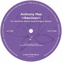 Artwork for Remixes by Anthony Mea