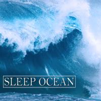 Artwork for Sleep Ocean by Ocean Waves For Sleep