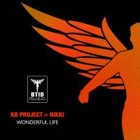 Artwork for Wonderful Life by KB Project