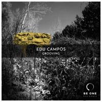 Artwork for Grooving by Edu Campos