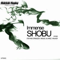 Artwork for Shobu by Immense