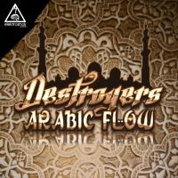 Artwork for Arabian Flow by Destroyers