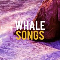 Artwork for Whale Songs by Whale Sounds