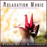 Artwork for Relaxation Music: Calm Frequencies Heal Your Mind and Soul by Calm Music