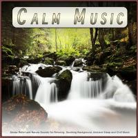 Artwork for Calm Music: Stress Relief and Nature Sounds for Relaxing, Soothing Background, Ambient Sleep and Chill Music by Stress Relief Experience