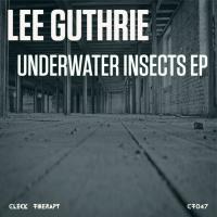 Artwork for Underwater Insects EP by Lee Guthrie