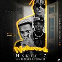 Artwork for Network by Harteez