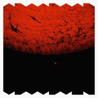 Artwork for Stone Forest by Qubit