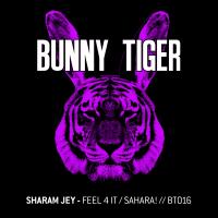 Artwork for Feel 4 It / Sahara! by Sharam Jey