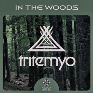 Artwork for Wild Coyote (Original Mix)