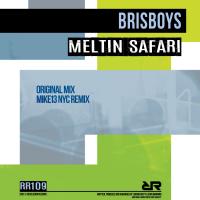 Artwork for Meltin Safari by Brisboys