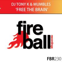 Artwork for Free The Brain by DJ Tony K