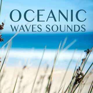 Artwork for Waves : Calm Ocean Waves
