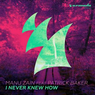 Artwork for I Never Knew How (Original Mix)