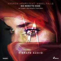 Artwork for No Need To Hide by Andrew Henry