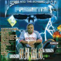 Artwork for Under HAWK's Wing by H.A.W.K.