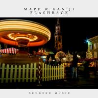 Artwork for Flashback by Mape