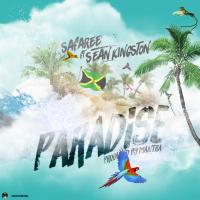 Artwork for Paradise (feat. Sean Kingston) by Safaree