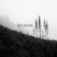 Rain Sounds