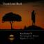 Artwork for King Shaka (Nightbob Remix)