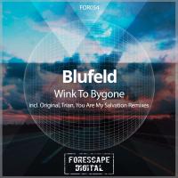 Artwork for Wink to Bygone by Blufeld