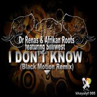 Artwork for I Don't Know (Black Motion Remix) by Dr.Renas