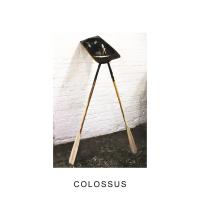 Artwork for Colossus by IDLES