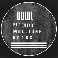 Artwork for Pot Going by O.D.W.L.