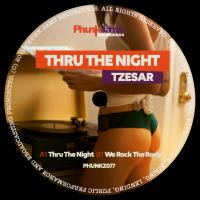 Artwork for Thru The Night by Tzesar