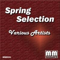 Artwork for Spring Selection by Various Artists