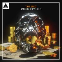 Artwork for Smuggler Voices by The Brig