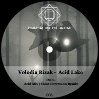 Artwork for Acid Lake by Volodia Rizak