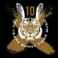 Artwork for Bunny Tiger 10 Years Anniversary by Various Artists