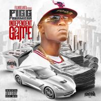 Artwork for The Independent Game 2 by Figg Panamera