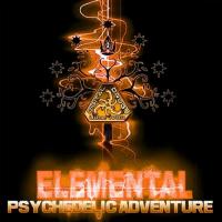 Artwork for Psychedelic Adventure by Elemental