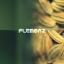Artwork for The Playground (Original Mix)
